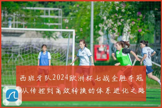 西班牙队2024欧洲杯七战全胜夺冠 从传控到高效转换的体系进化之路