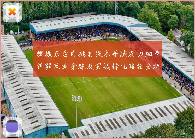 樊振东台内挑打技术手腕发力细节拆解及业余球友实战转化路径分析