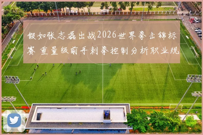 假如张志磊出战2026世界拳击锦标赛 重量级前手刺拳控制分析职业规则到业余计分体系