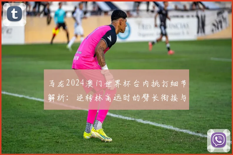 马龙2024澳门世界杯台内挑打细节解析：逆转林高远时的劈长衔接与发力时机