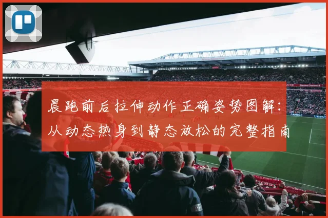 晨跑前后拉伸动作正确姿势图解：从动态热身到静态放松的完整指南