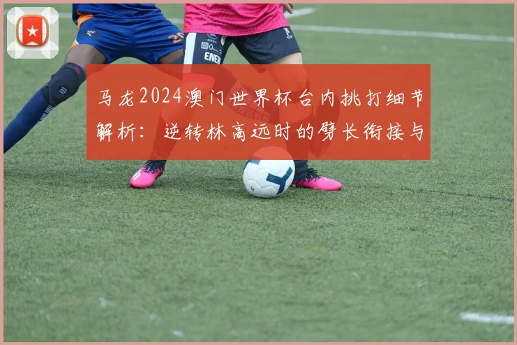 马龙2024澳门世界杯台内挑打细节解析：逆转林高远时的劈长衔接与发力时机