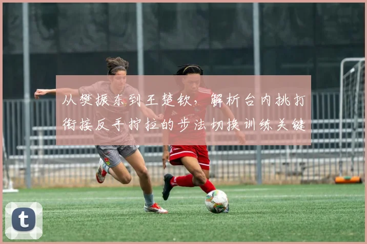 从樊振东到王楚钦，解析台内挑打衔接反手拧拉的步法切换训练关键细节